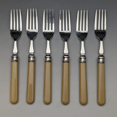 British Vintage Resin Handle Fish Cutlery 6 Pair Set in Wooden Box Cooper Brothers